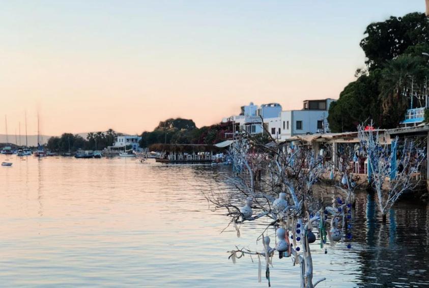 Azure Wellness Retreat (Adults Only) Otel Turgutreis Dış mekan fotoğraf